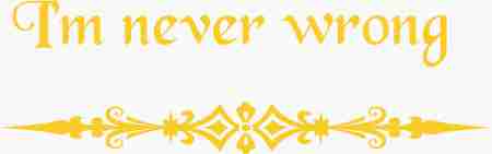 I Am Never Wrong -Sweatshirt - price differs with Style